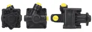 Hydraulikpumpe, Lenkung SPIDAN 53887