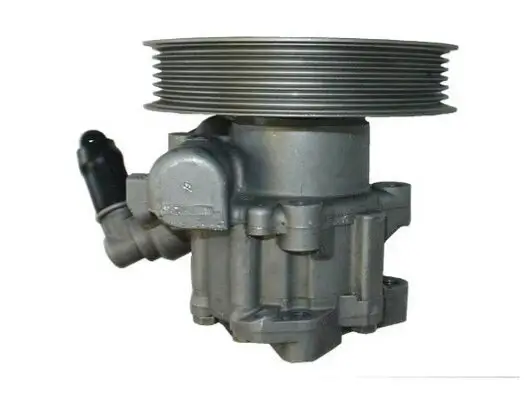 Hydraulikpumpe, Lenkung SPIDAN 53895 Bild Hydraulikpumpe, Lenkung SPIDAN 53895