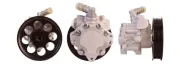 Hydraulikpumpe, Lenkung SPIDAN 53895