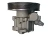 Hydraulikpumpe, Lenkung SPIDAN 53899 Bild Hydraulikpumpe, Lenkung SPIDAN 53899