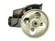 Hydraulikpumpe, Lenkung SPIDAN 53928