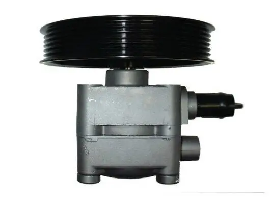 Hydraulikpumpe, Lenkung SPIDAN 54071 Bild Hydraulikpumpe, Lenkung SPIDAN 54071