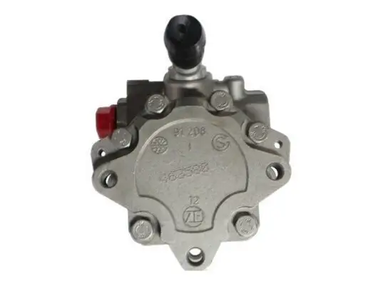 Hydraulikpumpe, Lenkung SPIDAN 54117 Bild Hydraulikpumpe, Lenkung SPIDAN 54117