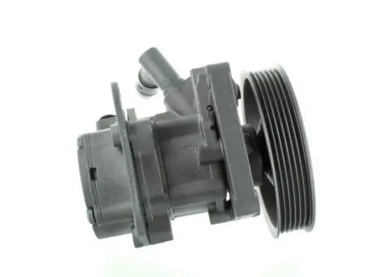 Hydraulikpumpe, Lenkung SPIDAN 54132 Bild Hydraulikpumpe, Lenkung SPIDAN 54132