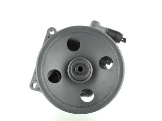 Hydraulikpumpe, Lenkung SPIDAN 54132 Bild Hydraulikpumpe, Lenkung SPIDAN 54132