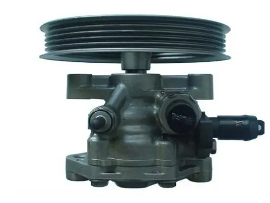 Hydraulikpumpe, Lenkung SPIDAN 54176 Bild Hydraulikpumpe, Lenkung SPIDAN 54176