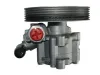 Hydraulikpumpe, Lenkung SPIDAN 54181 Bild Hydraulikpumpe, Lenkung SPIDAN 54181