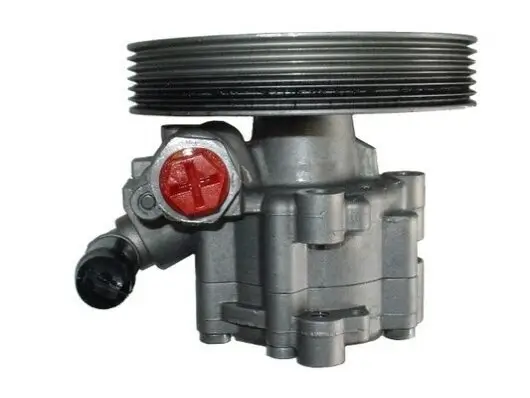 Hydraulikpumpe, Lenkung SPIDAN 54181 Bild Hydraulikpumpe, Lenkung SPIDAN 54181