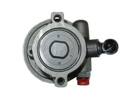 Hydraulikpumpe, Lenkung SPIDAN 54195 Bild Hydraulikpumpe, Lenkung SPIDAN 54195