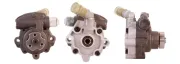 Hydraulikpumpe, Lenkung SPIDAN 54219
