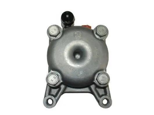 Hydraulikpumpe, Lenkung SPIDAN 54221 Bild Hydraulikpumpe, Lenkung SPIDAN 54221