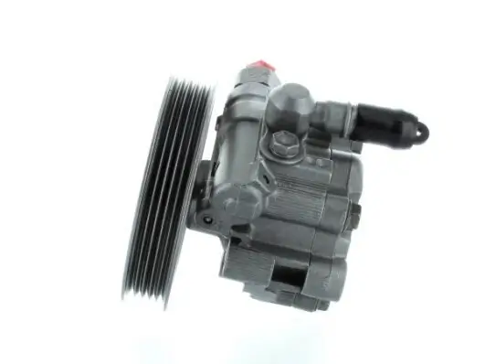 Hydraulikpumpe, Lenkung SPIDAN 54269 Bild Hydraulikpumpe, Lenkung SPIDAN 54269