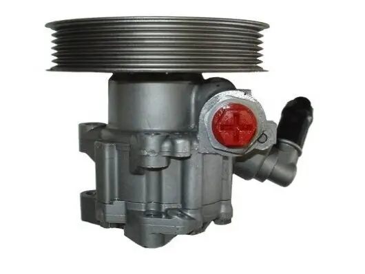 Hydraulikpumpe, Lenkung SPIDAN 54285 Bild Hydraulikpumpe, Lenkung SPIDAN 54285
