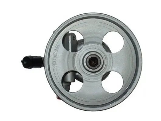 Hydraulikpumpe, Lenkung SPIDAN 54295