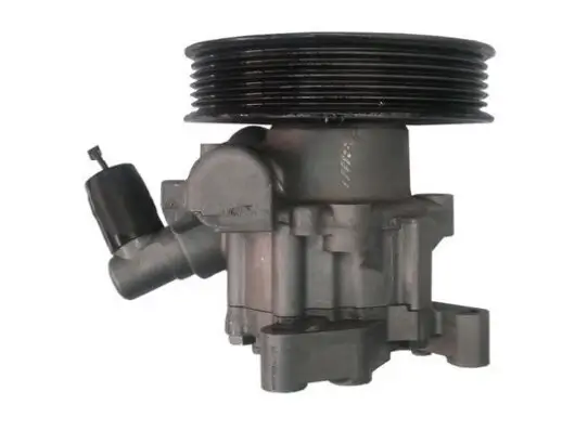 Hydraulikpumpe, Lenkung SPIDAN 54366 Bild Hydraulikpumpe, Lenkung SPIDAN 54366