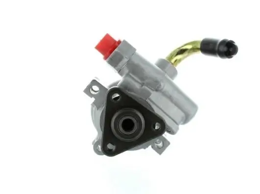 Hydraulikpumpe, Lenkung SPIDAN 54411 Bild Hydraulikpumpe, Lenkung SPIDAN 54411