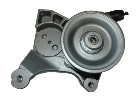 Hydraulikpumpe, Lenkung SPIDAN 54448