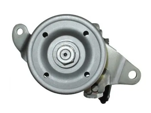 Hydraulikpumpe, Lenkung SPIDAN 54454