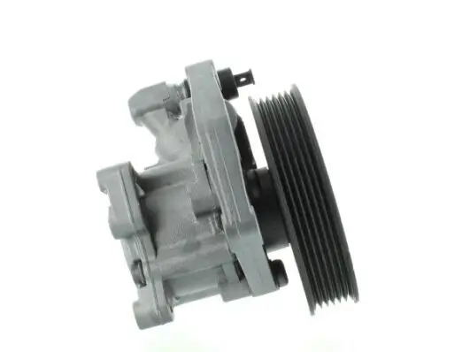 Hydraulikpumpe, Lenkung SPIDAN 54587 Bild Hydraulikpumpe, Lenkung SPIDAN 54587