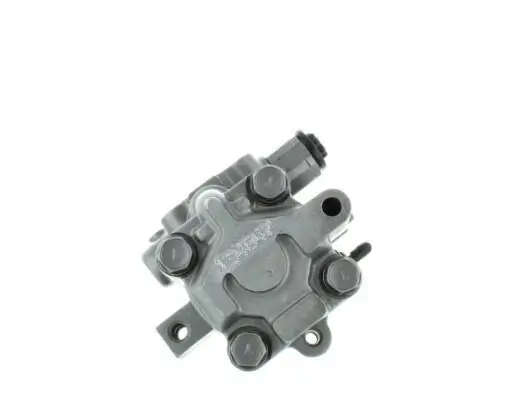 Hydraulikpumpe, Lenkung SPIDAN 54667 Bild Hydraulikpumpe, Lenkung SPIDAN 54667