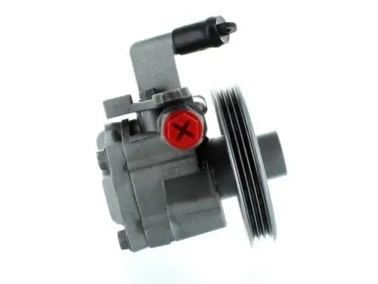 Hydraulikpumpe, Lenkung SPIDAN 54951 Bild Hydraulikpumpe, Lenkung SPIDAN 54951