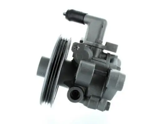 Hydraulikpumpe, Lenkung SPIDAN 54951 Bild Hydraulikpumpe, Lenkung SPIDAN 54951