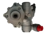 Hydraulikpumpe, Lenkung SPIDAN 54953