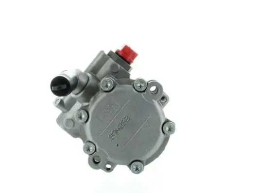 Hydraulikpumpe, Lenkung SPIDAN 54954 Bild Hydraulikpumpe, Lenkung SPIDAN 54954