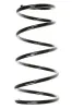 Fahrwerksfeder Vorderachse SPIDAN 55037