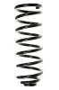 Fahrwerksfeder Hinterachse SPIDAN 55039