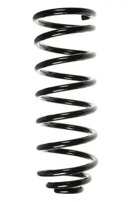 Fahrwerksfeder Hinterachse SPIDAN 55039 Bild Fahrwerksfeder Hinterachse SPIDAN 55039