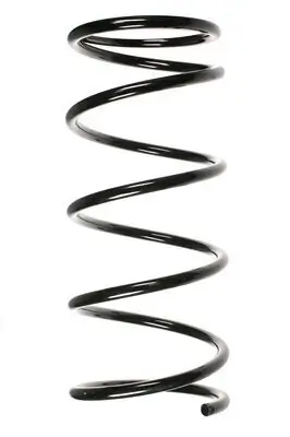 Fahrwerksfeder Vorderachse SPIDAN 55040