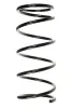 Fahrwerksfeder Vorderachse SPIDAN 55040