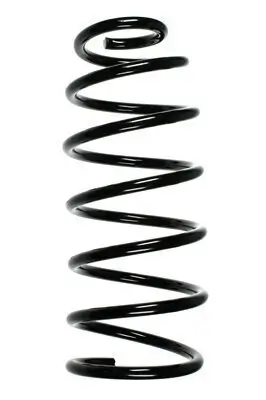 Fahrwerksfeder Vorderachse SPIDAN 55045
