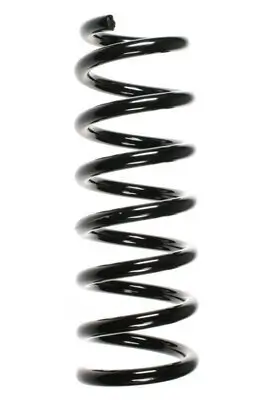 Fahrwerksfeder Vorderachse SPIDAN 55048