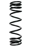Fahrwerksfeder Hinterachse SPIDAN 55053