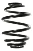 Fahrwerksfeder Hinterachse SPIDAN 55059