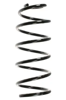 Fahrwerksfeder Vorderachse SPIDAN 55064