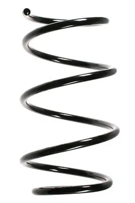 Fahrwerksfeder Vorderachse SPIDAN 55083