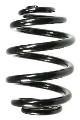 Fahrwerksfeder Hinterachse SPIDAN 55085