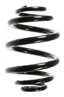 Fahrwerksfeder Hinterachse SPIDAN 55086 Bild Fahrwerksfeder Hinterachse SPIDAN 55086