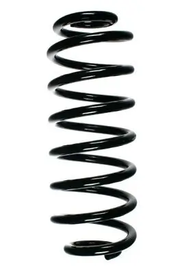 Fahrwerksfeder Hinterachse SPIDAN 55101