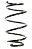 Fahrwerksfeder Vorderachse SPIDAN 55103
