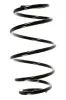 Fahrwerksfeder Vorderachse SPIDAN 55105