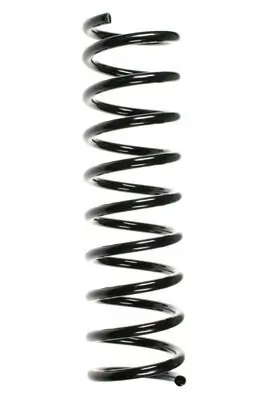 Fahrwerksfeder Hinterachse SPIDAN 55109