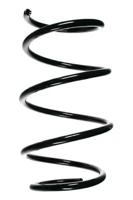 Fahrwerksfeder Vorderachse SPIDAN 55120