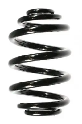 Fahrwerksfeder Hinterachse SPIDAN 55121 Bild Fahrwerksfeder Hinterachse SPIDAN 55121