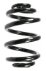 Fahrwerksfeder Hinterachse SPIDAN 55122