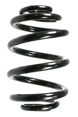 Fahrwerksfeder Hinterachse SPIDAN 55122 Bild Fahrwerksfeder Hinterachse SPIDAN 55122