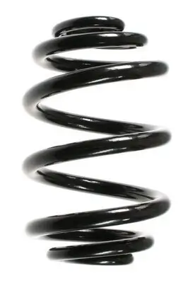 Fahrwerksfeder Hinterachse SPIDAN 55123